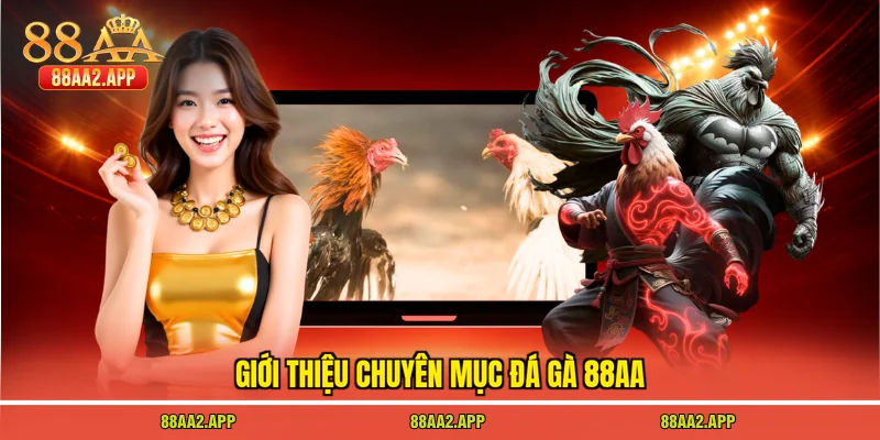 Giới thiệu chuyên mục đá gà 88AA