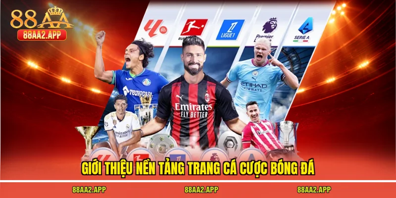 Giới thiệu nền tảng trang cá cược bóng đá